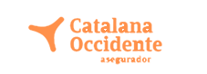 cat 1